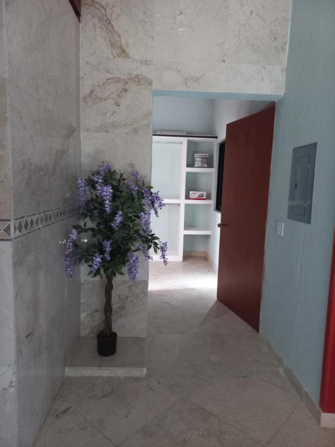 Apartament Departamento Tayde San José del Cabo Zewnętrze zdjęcie