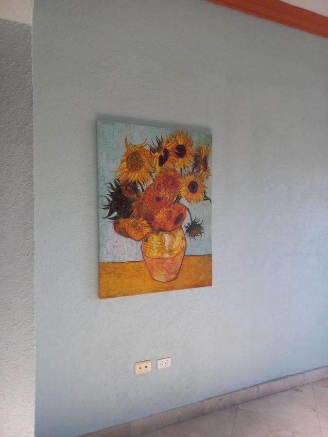 Apartament Departamento Tayde San José del Cabo Zewnętrze zdjęcie